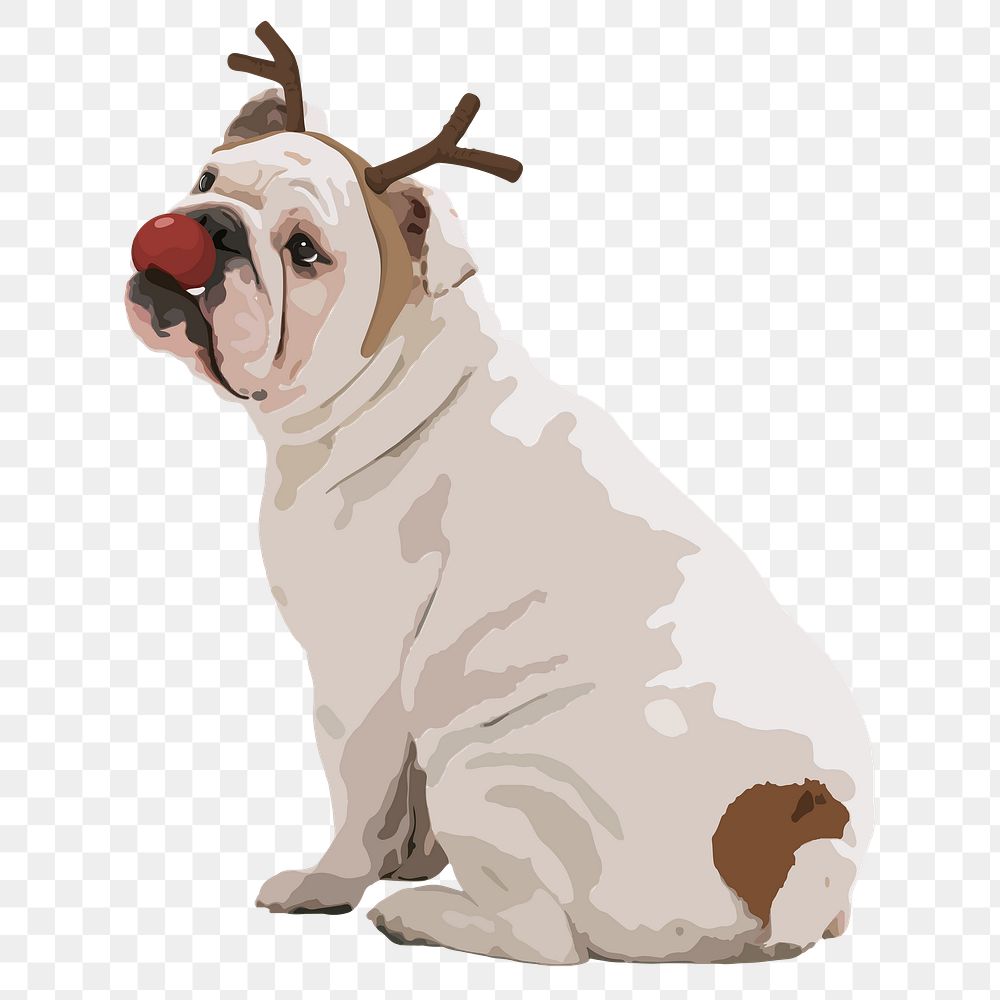 Christmas deer dog png sticker, English Bulldog on transparent background