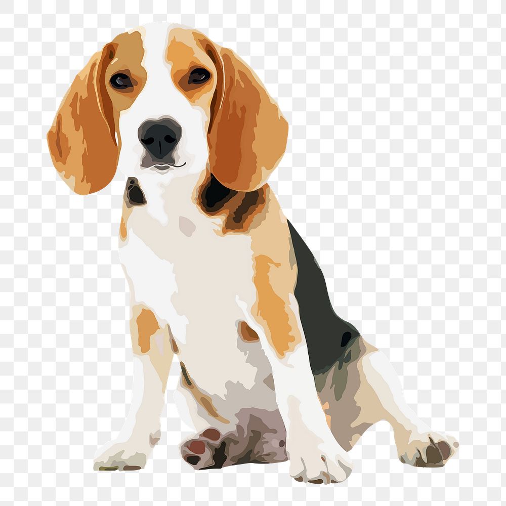 Beagle puppy png sticker, transparent background