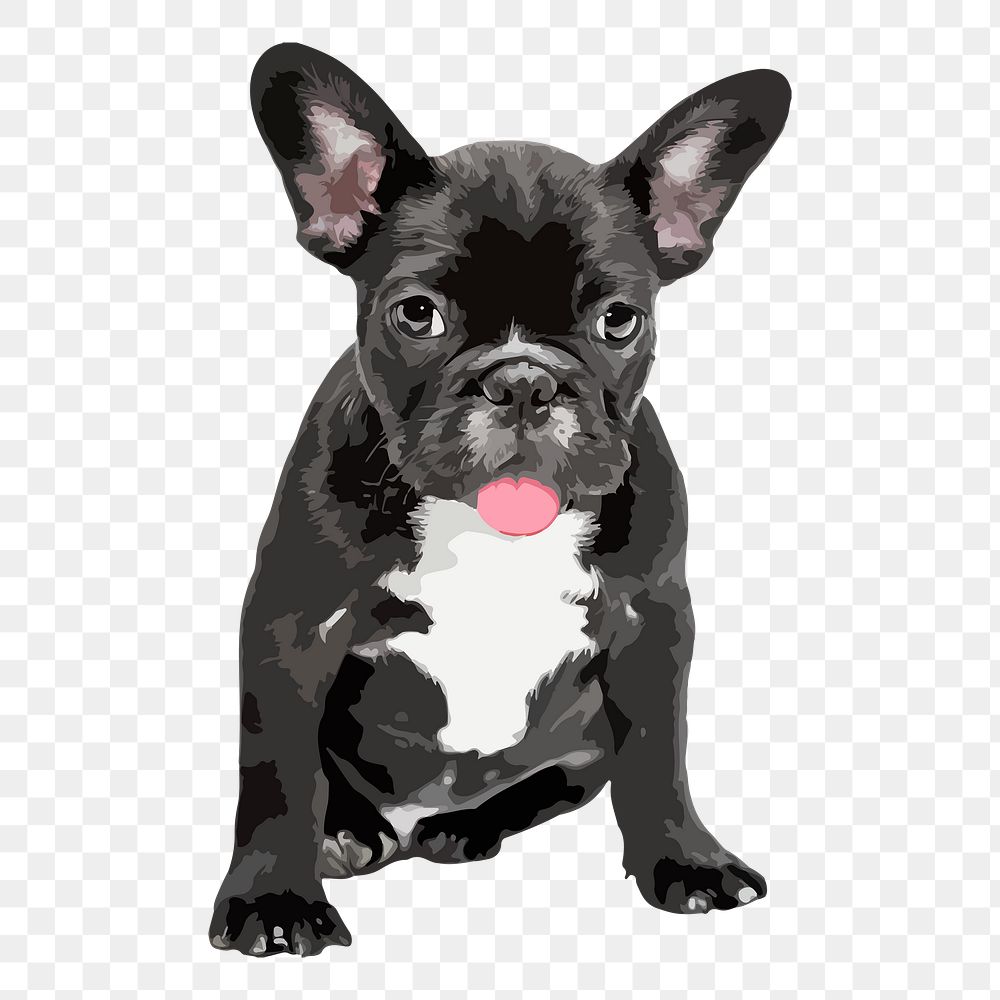 French Bulldog png sticker, transparent background