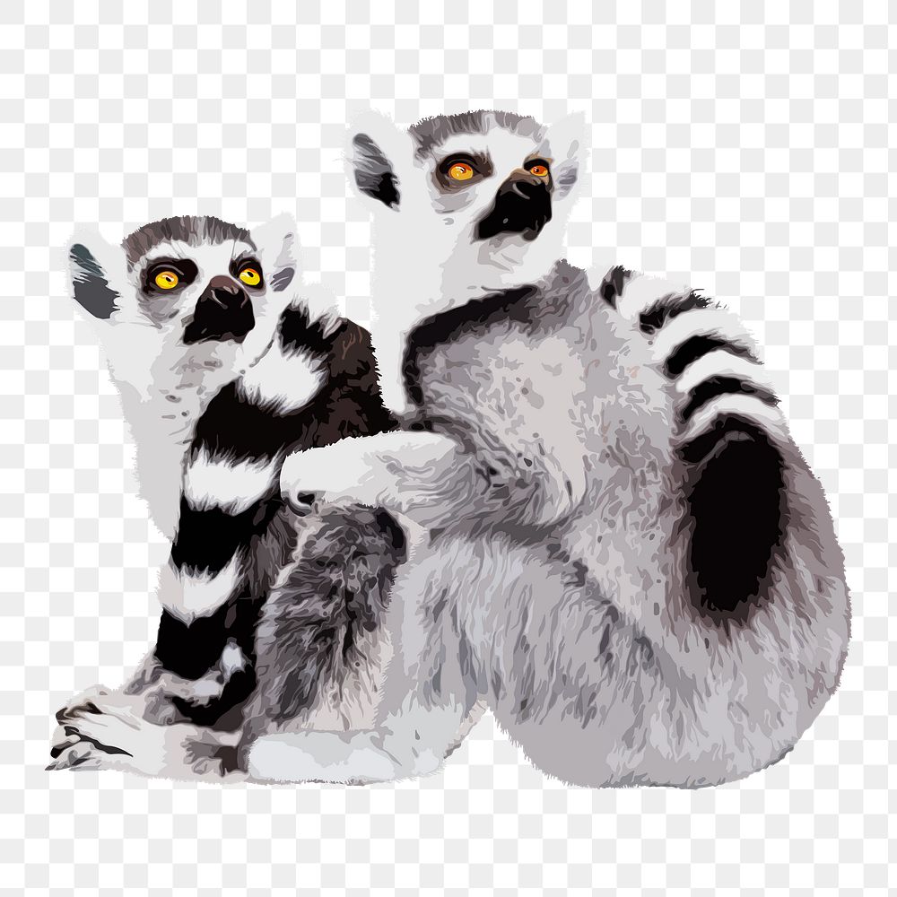 Lemur animals png sticker, transparent background