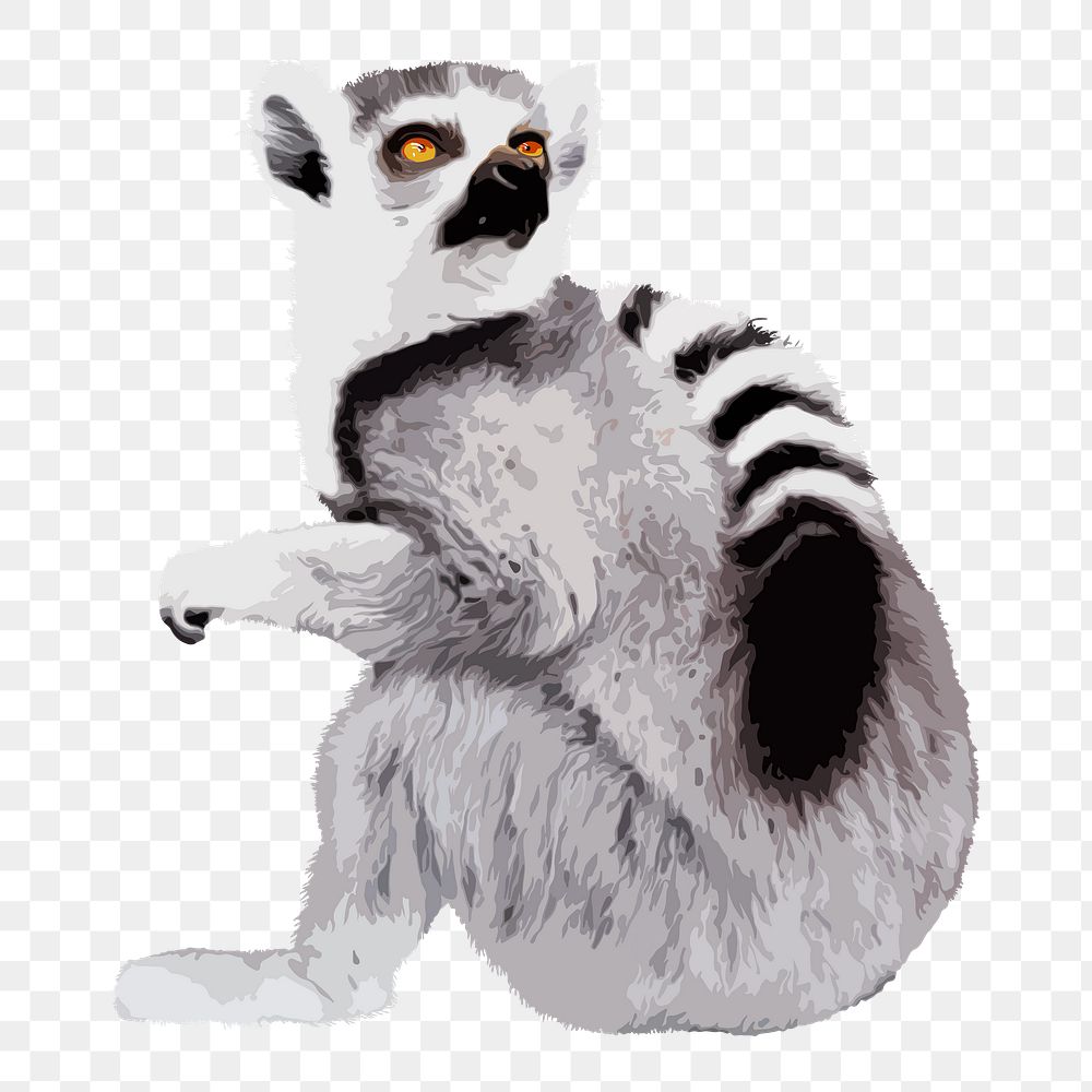 Lemur animal png sticker, transparent background