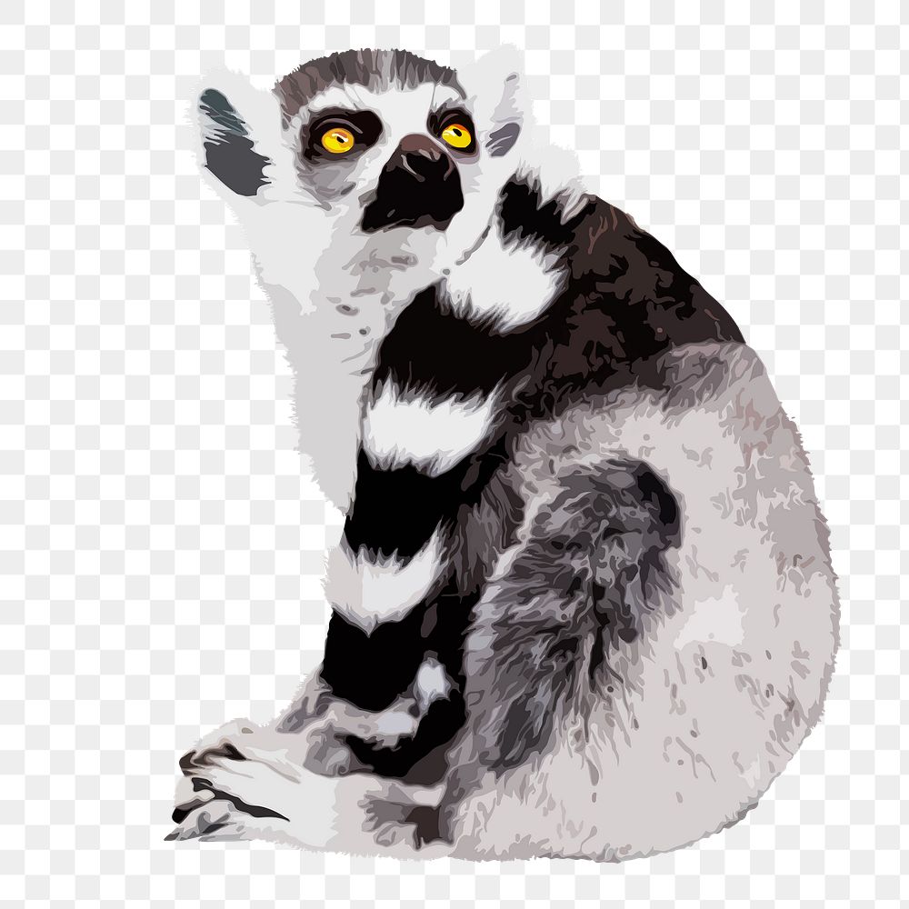 Lemur animal png sticker, transparent background