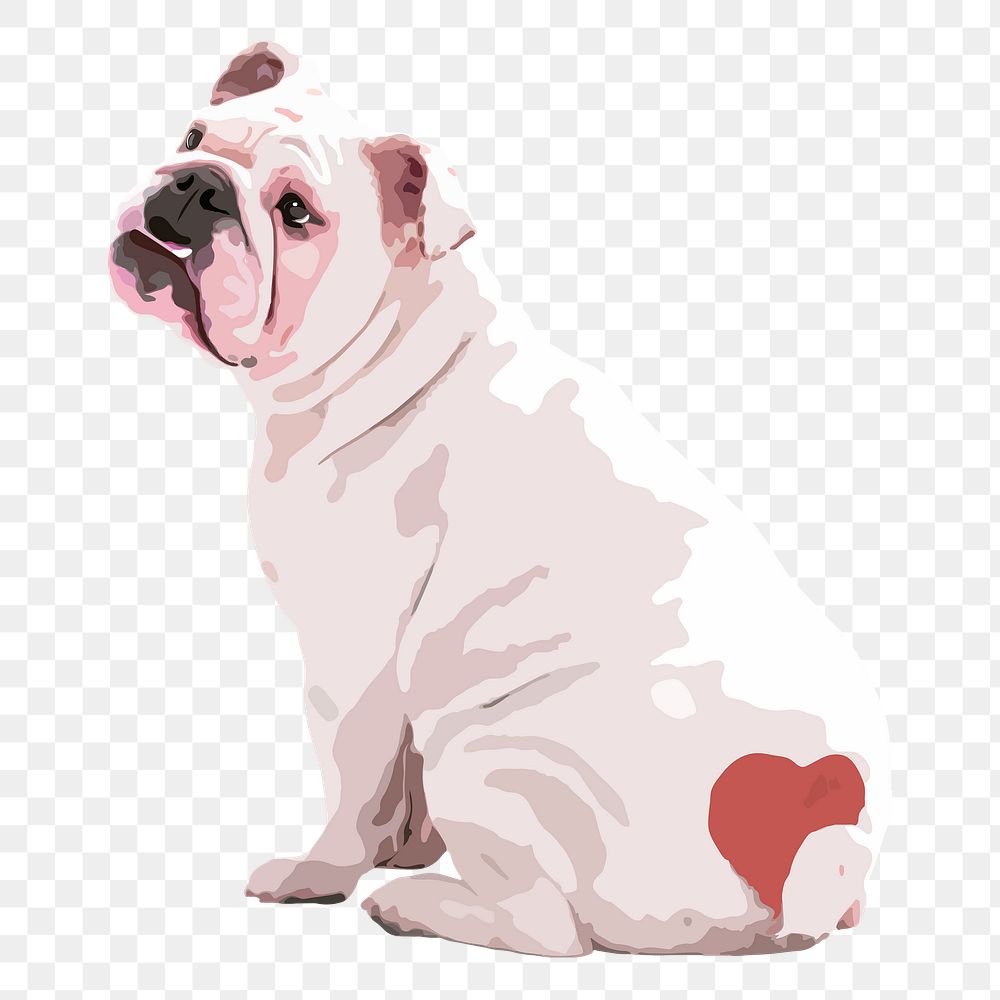 Valentine's dog png sticker, English Bulldog on transparent background