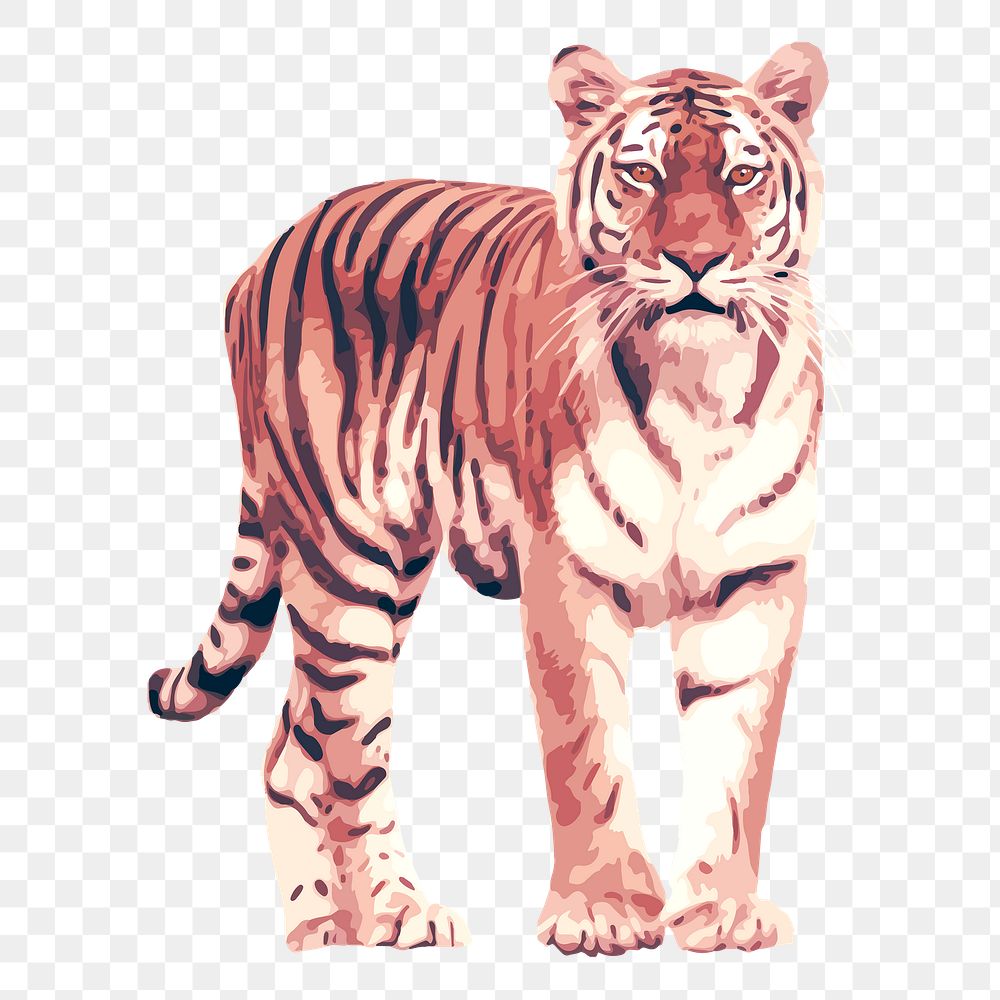 Tiger animal png sticker, transparent background