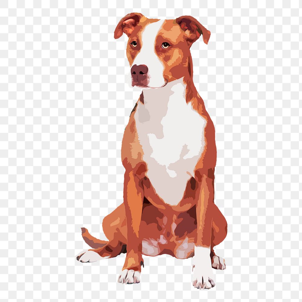 Pitbull dog png sticker, transparent background