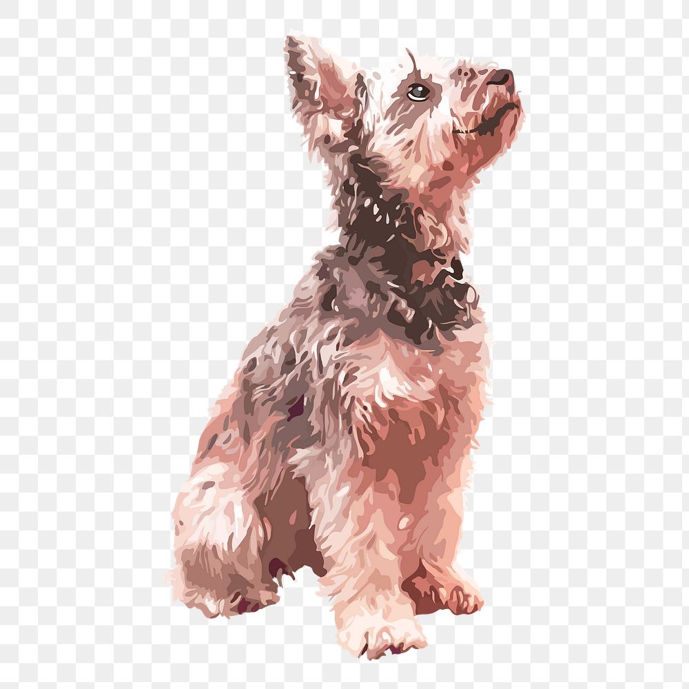 Schnauzer dog png sticker, transparent background