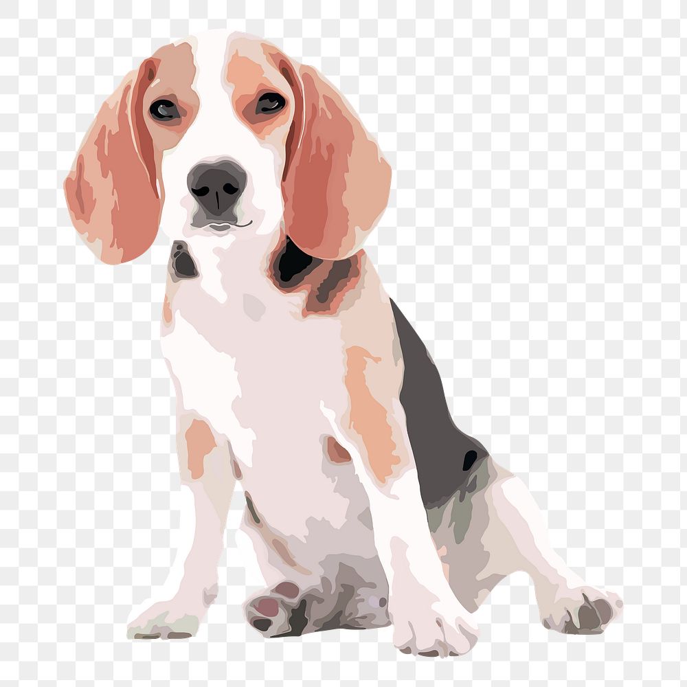 Beagle puppy png sticker, transparent background