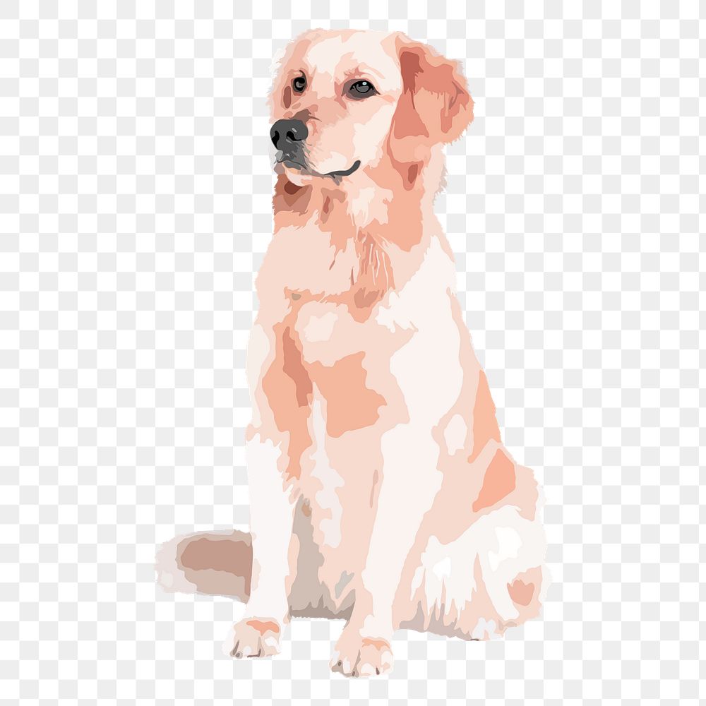 Golden Retriever dog png sticker, transparent background