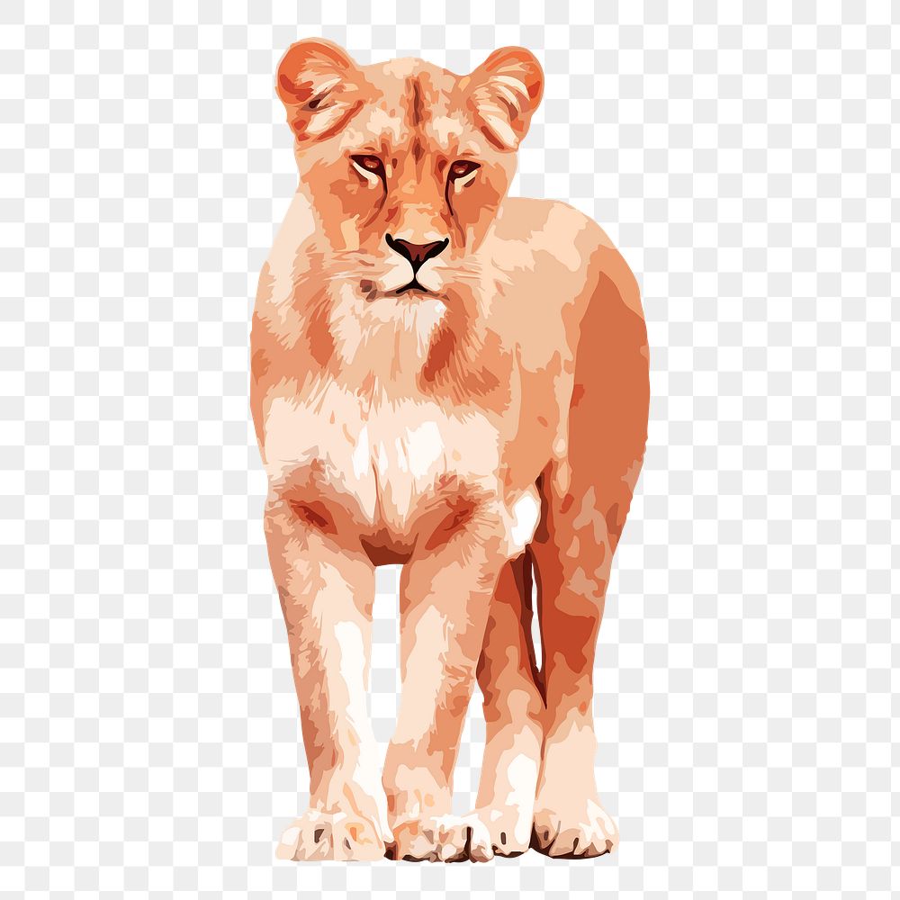Female lion png sticker, transparent background