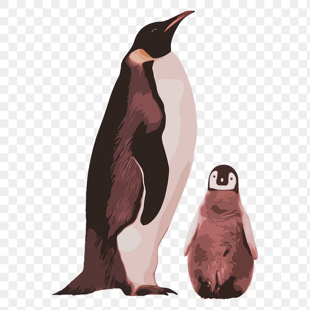 Cute penguins png sticker, transparent background
