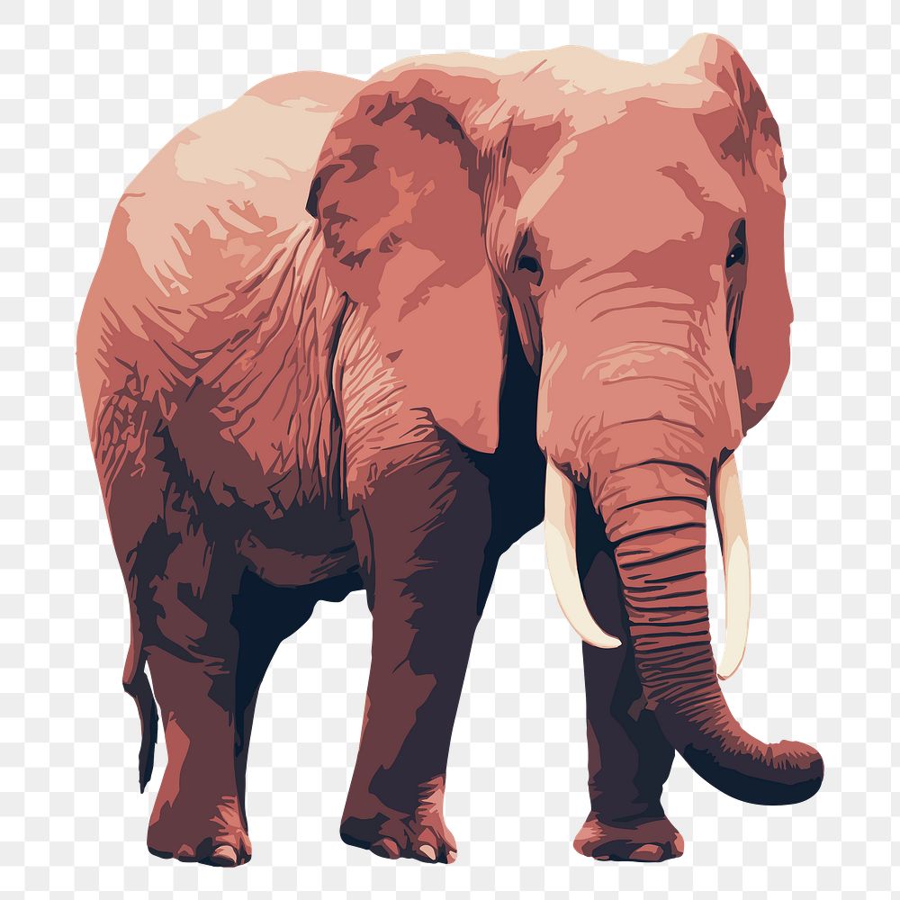 Elephant animal png sticker, transparent background