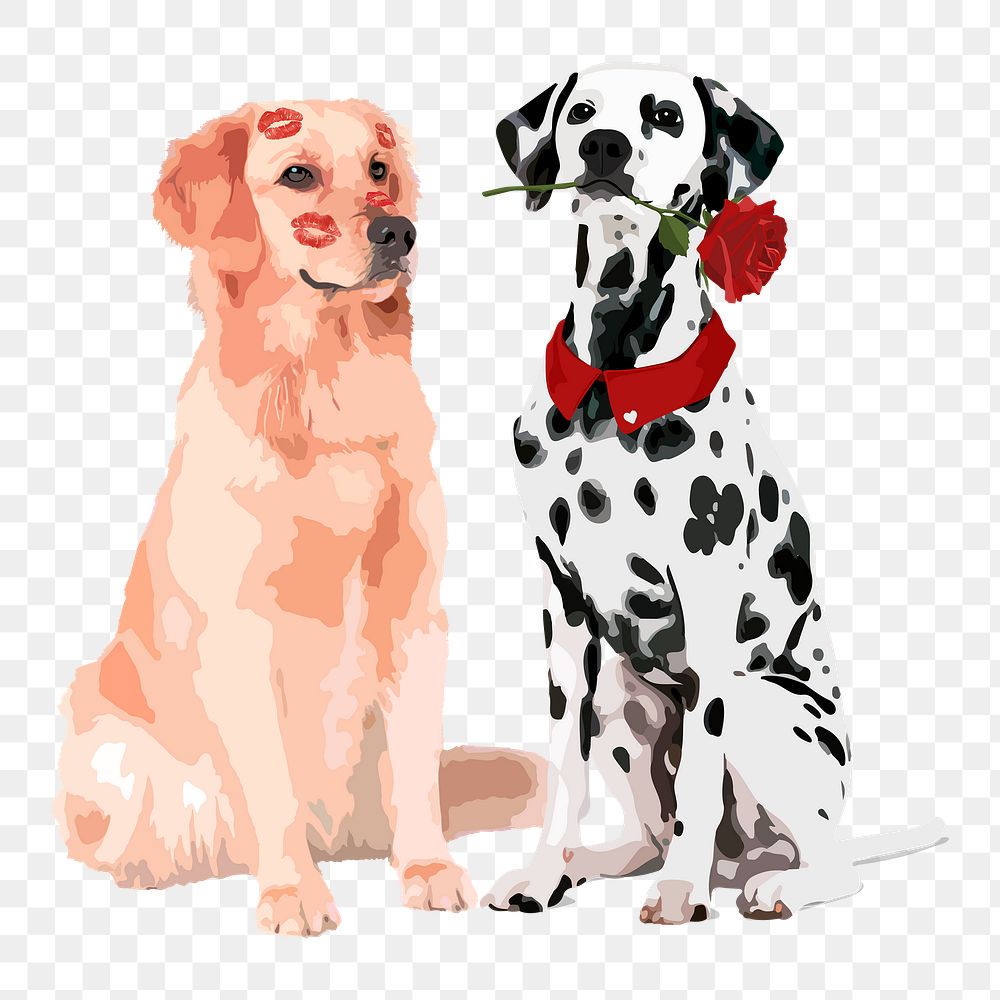 Valentine's dog couple png sticker, transparent background