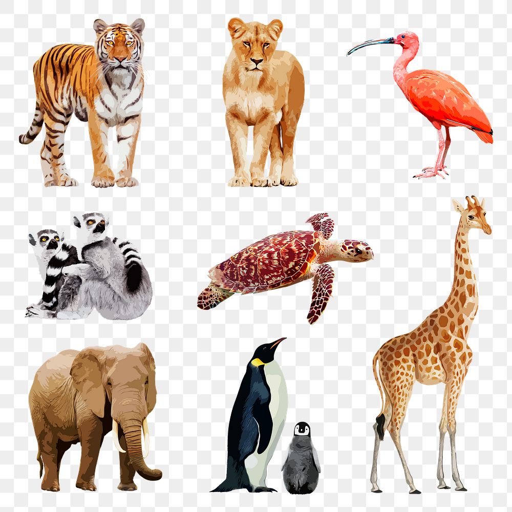Animal & wildlife png sticker, transparent background set