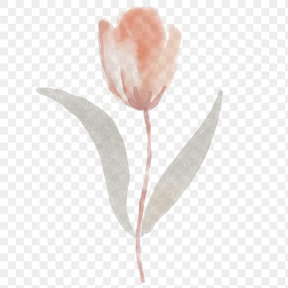Tulip clipart png, watercolor beige illustration on transparent background