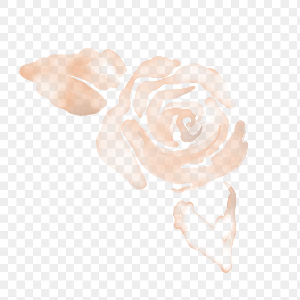 Rose png sticker, floral watercolor design, transparent background