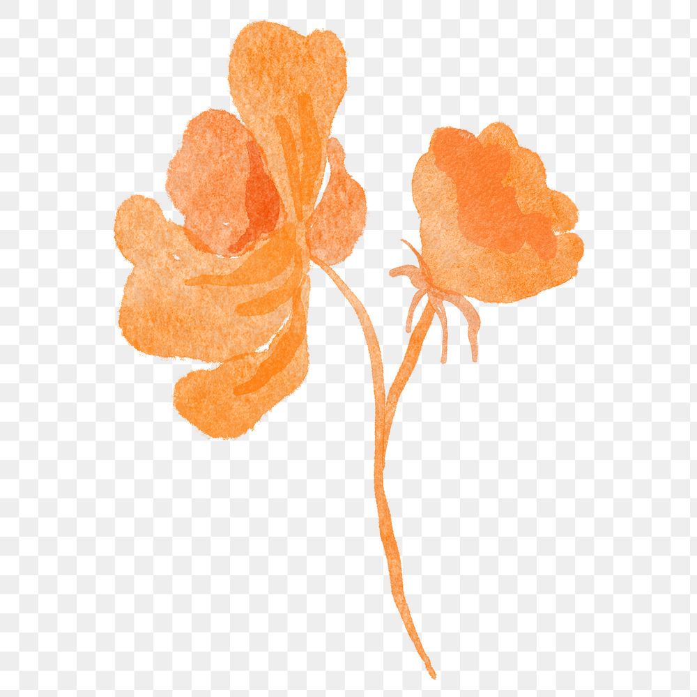 Orange flower png sticker, floral watercolor design, transparent background