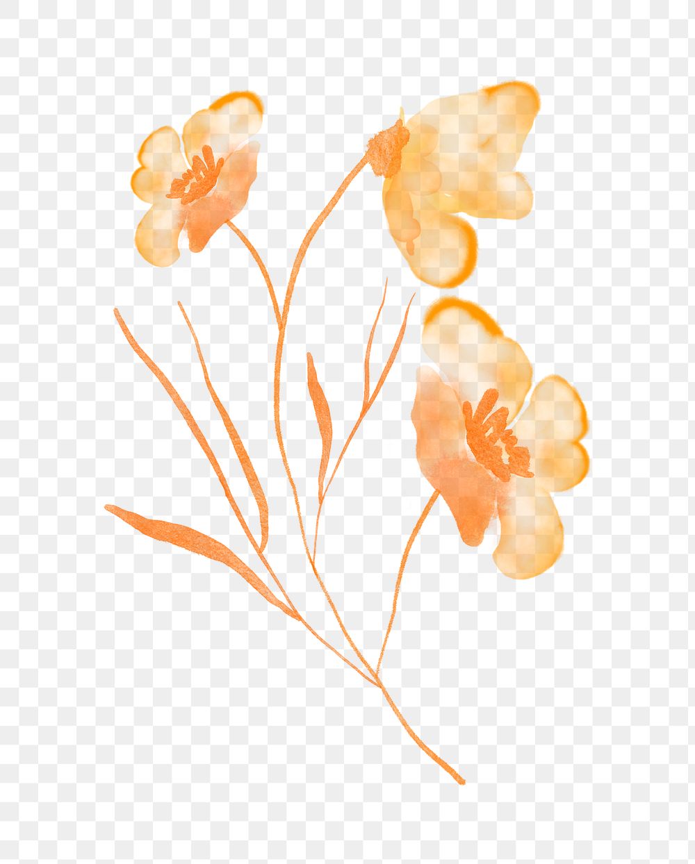 Flower clipart png, watercolor orange illustration on transparent background