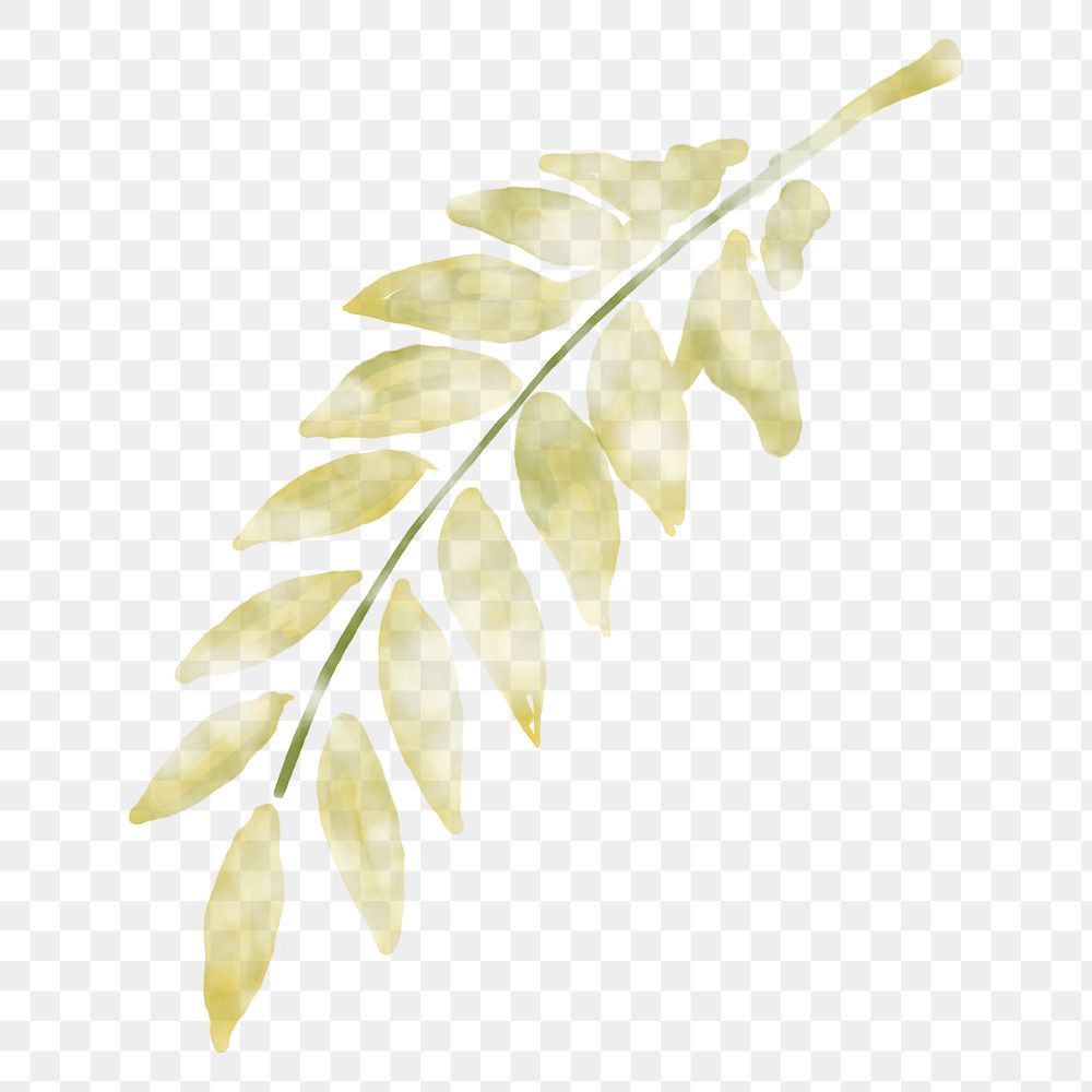 Leaf clipart png, watercolor green illustration on transparent background