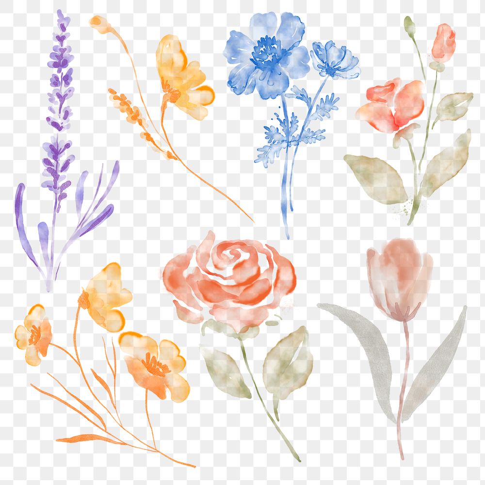 Flower sticker png, watercolor design on transparent background set
