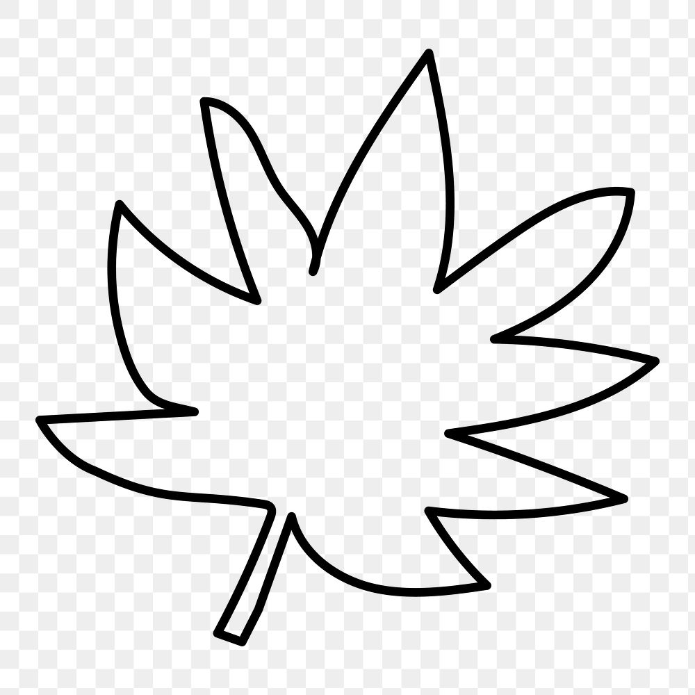 Maple leaf doodle png sticker, hand drawn illustration, transparent background