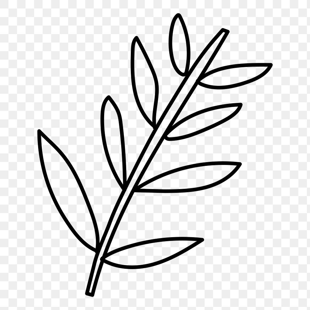 Leaf doodle png sticker, hand drawn illustration, transparent background
