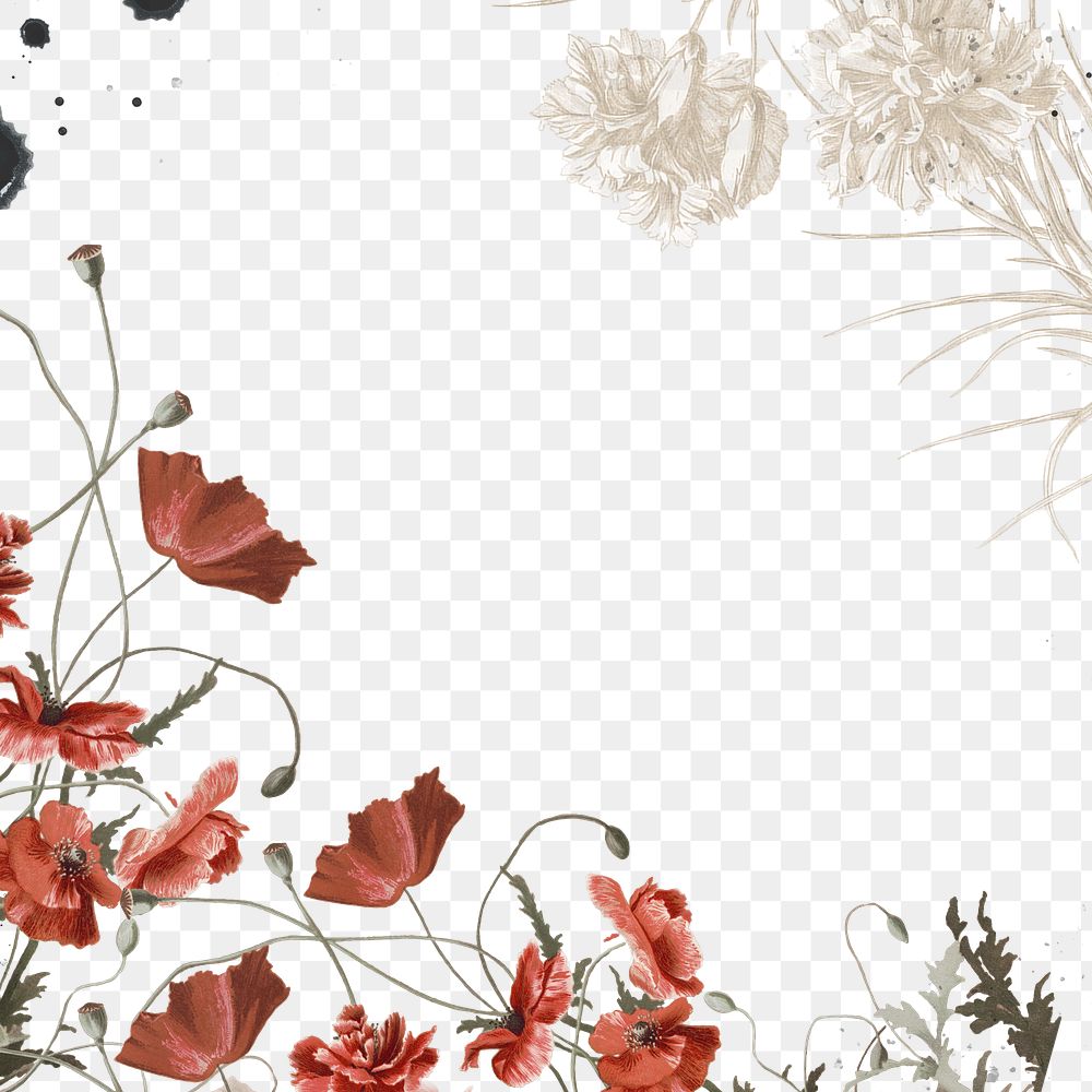 Vintage flower frame png, aesthetic | Premium PNG - rawpixel