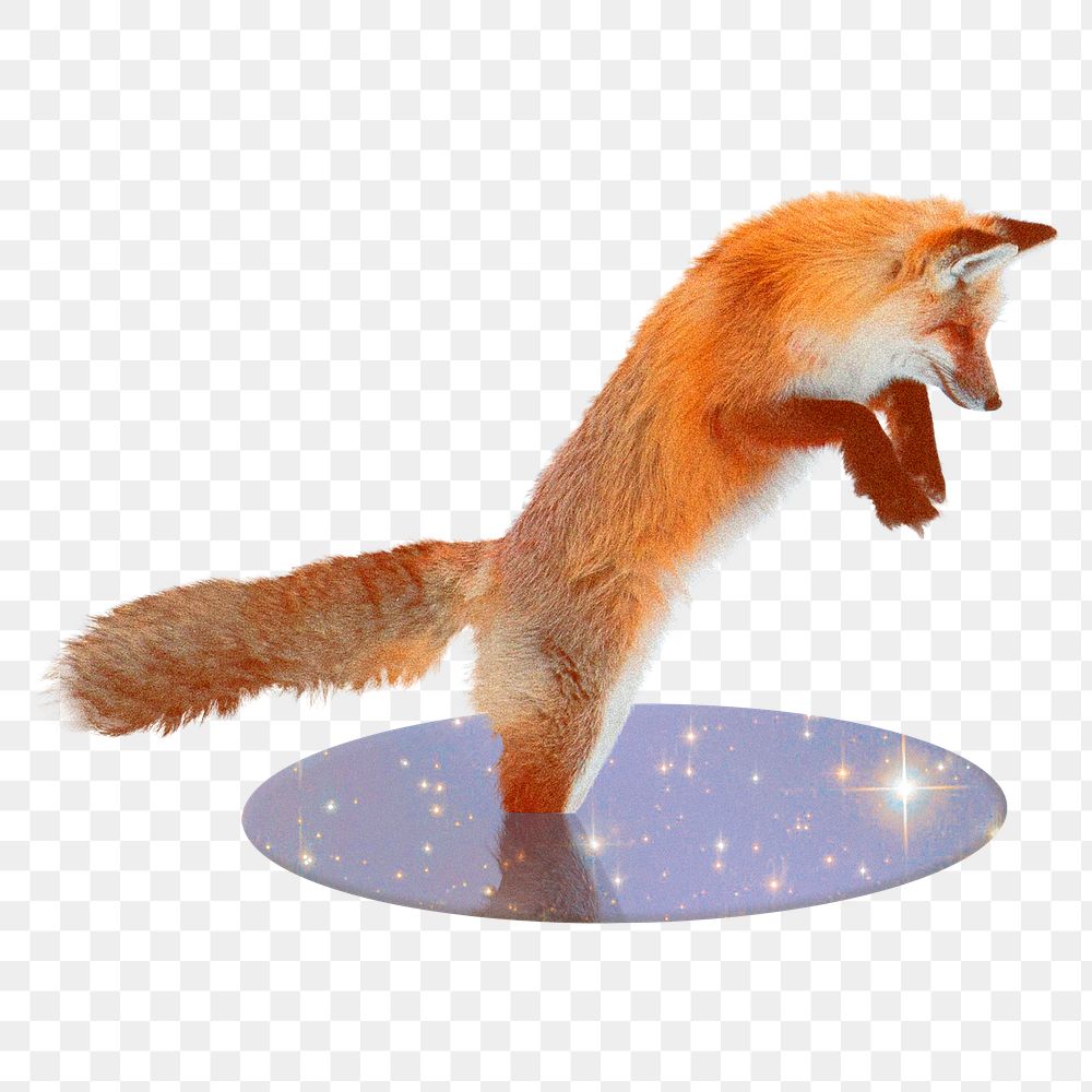 Jumping fox png sticker, animal cut out on transparent background