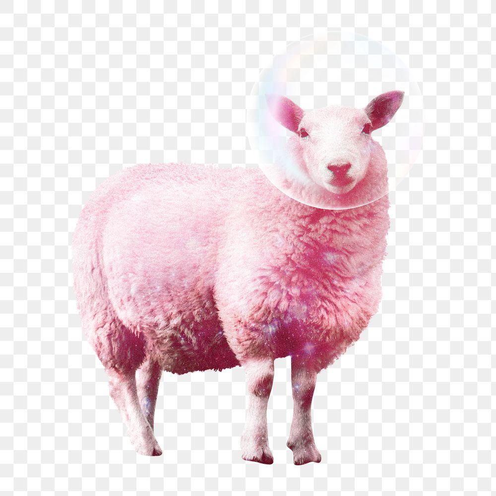 Pink sheep png sticker, animal cut out on transparent background