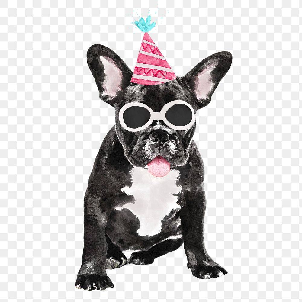 French bulldog png illustration on transparent background in watercolor birthday party hat