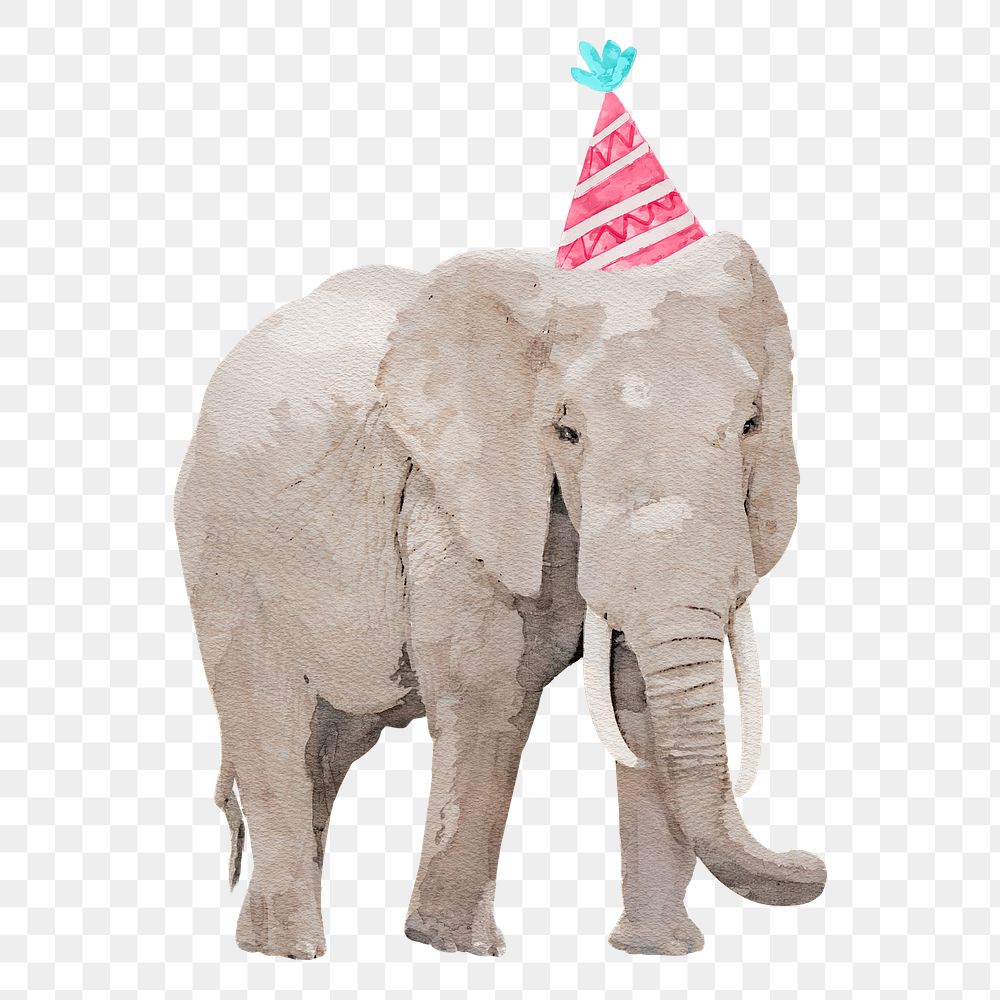 Watercolor elephant png illustration on transparent background with birthday party hat