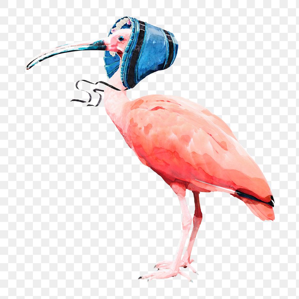 Scarlet ibis bird png illustration on transparent background with blue bonnet
