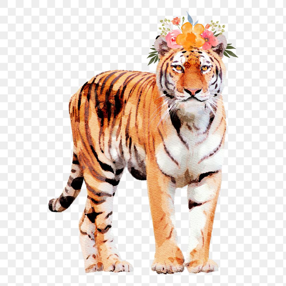 Tiger with wreath png illustration on transparent background in watercolor