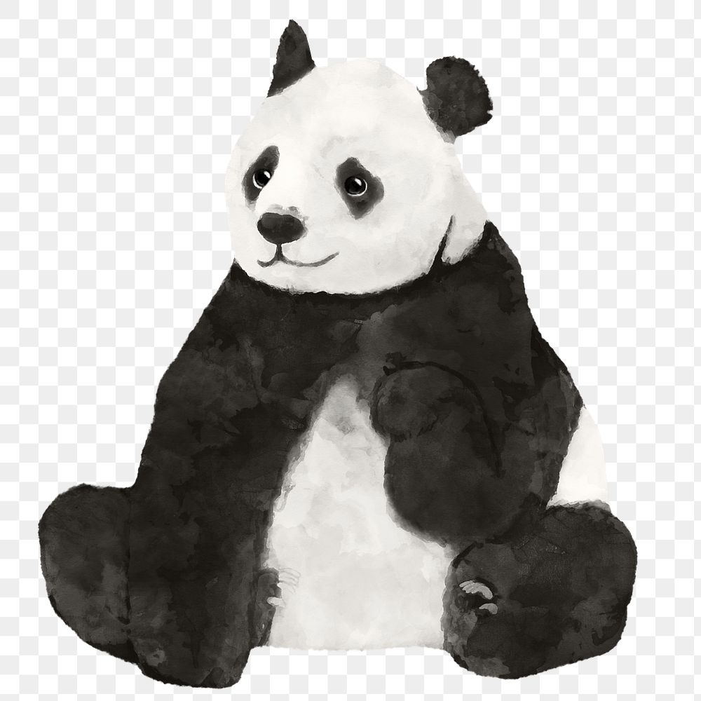 Panda png sticker, watercolor illustration, transparent background