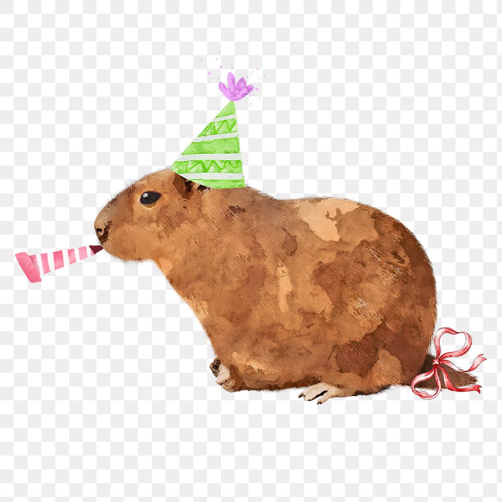 Birthday Capybara png sticker, watercolor illustration, transparent background