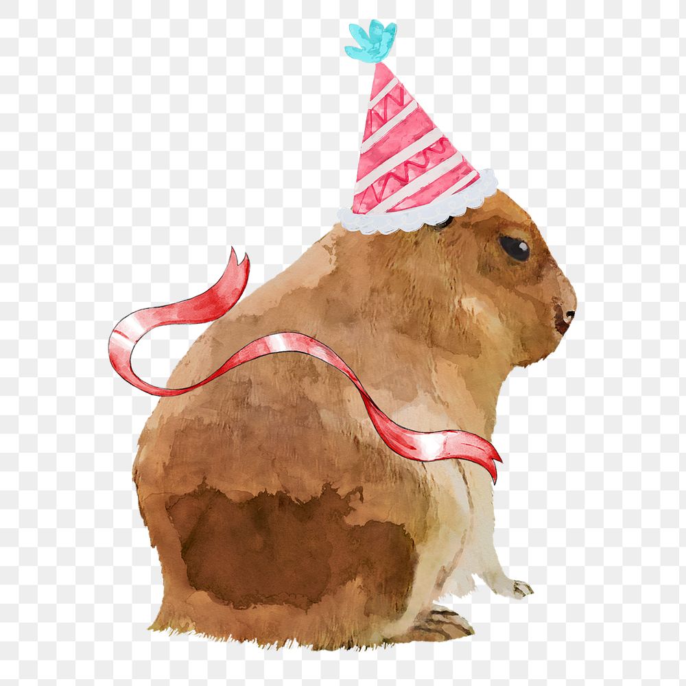 Capybara birthday png sticker, watercolor illustration, transparent background