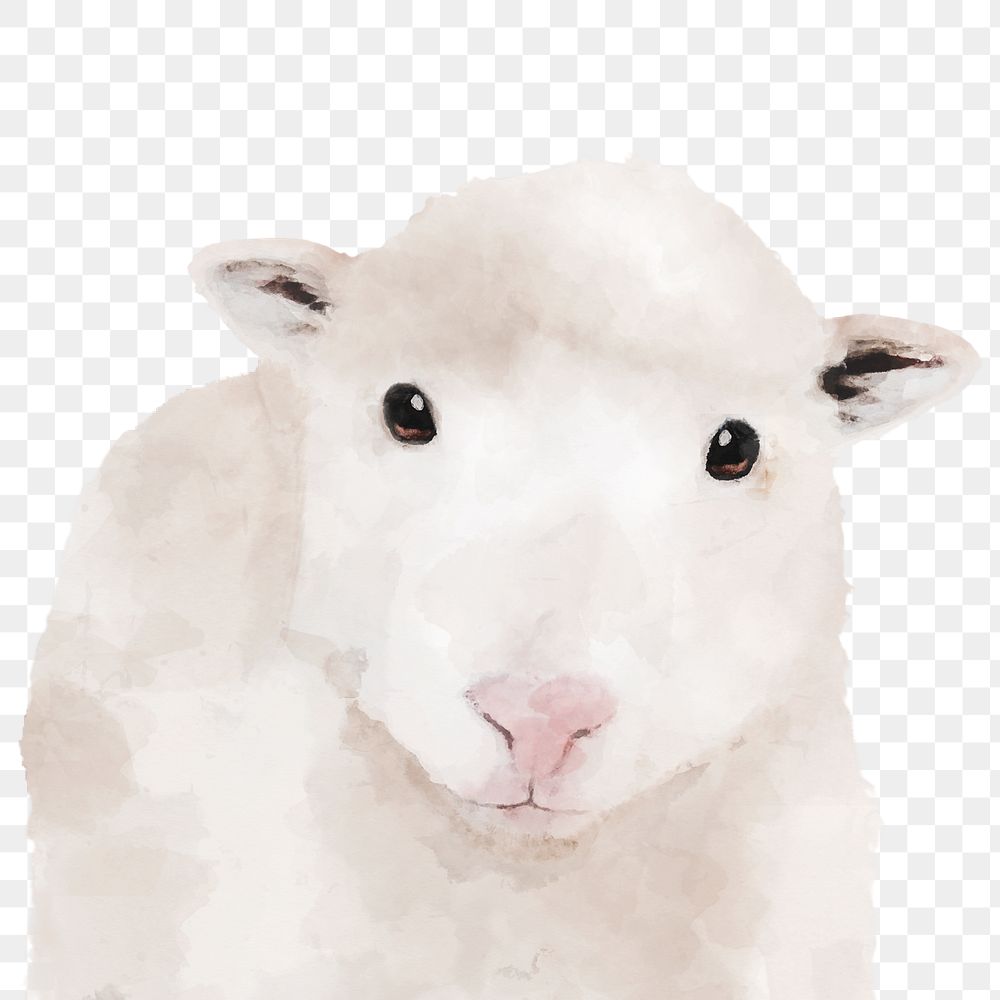 Sheep png sticker, watercolor illustration, transparent background