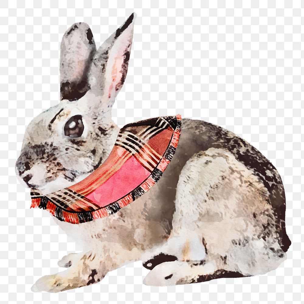 Scarf rabbit png sticker, watercolor illustration, transparent background