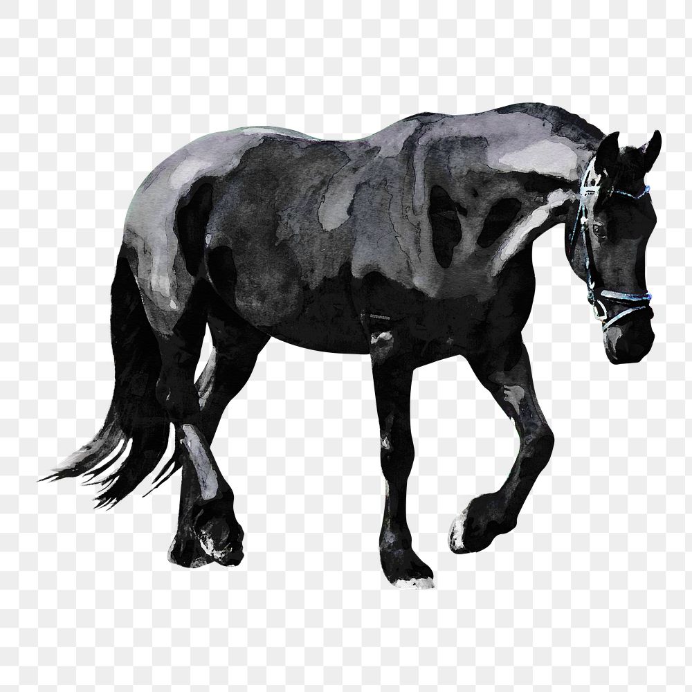 Black horse png sticker, watercolor illustration, transparent background