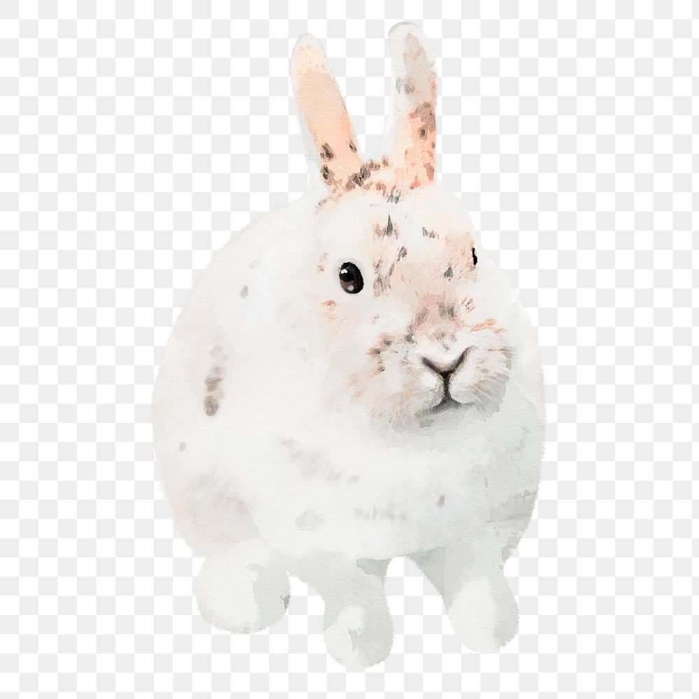 Bunny png sticker, watercolor illustration, transparent background