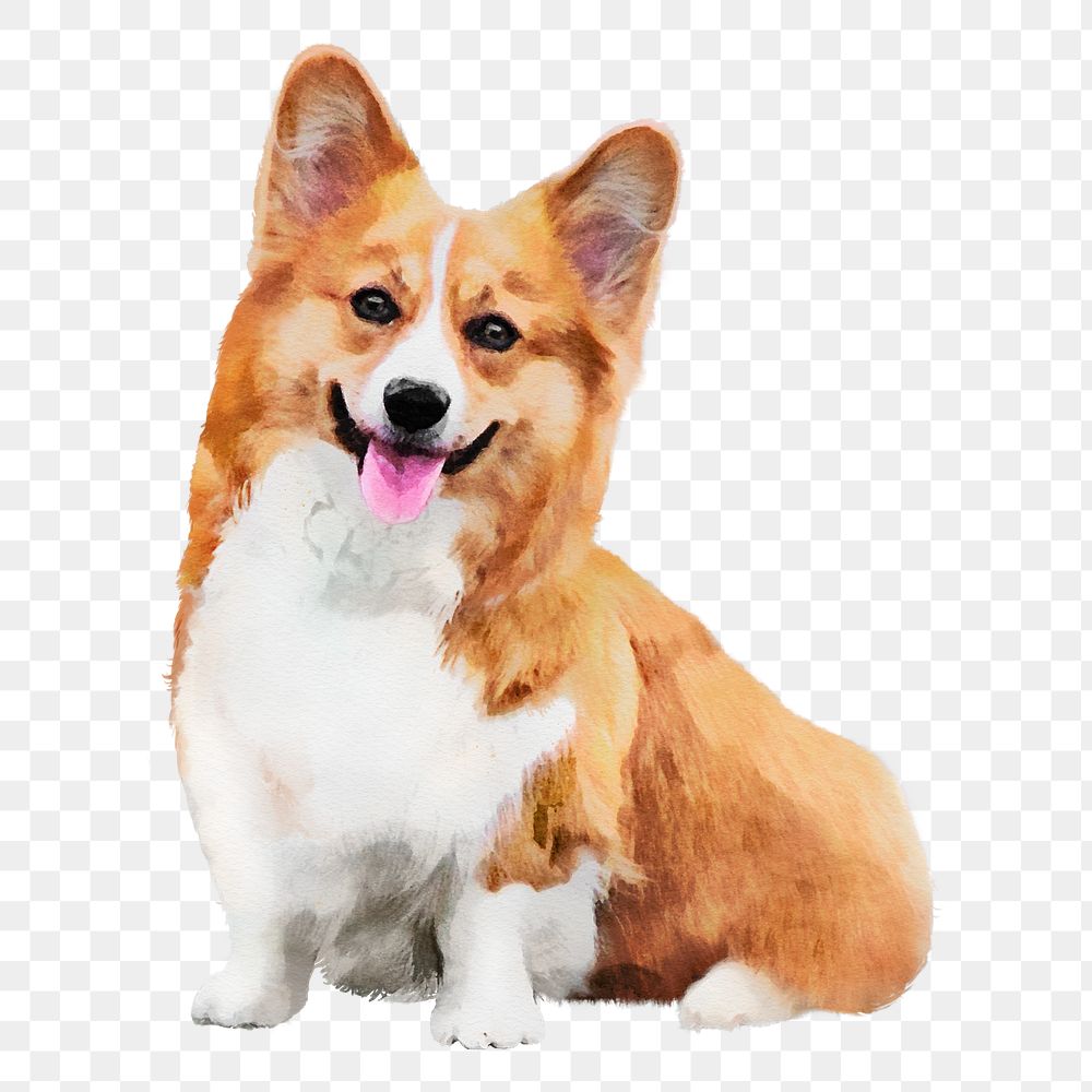 Cute dog png sticker, Welsh corgi, transparent background
