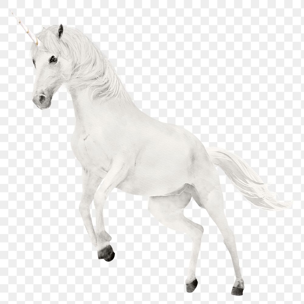 White unicorn png sticker, watercolor illustration, transparent background