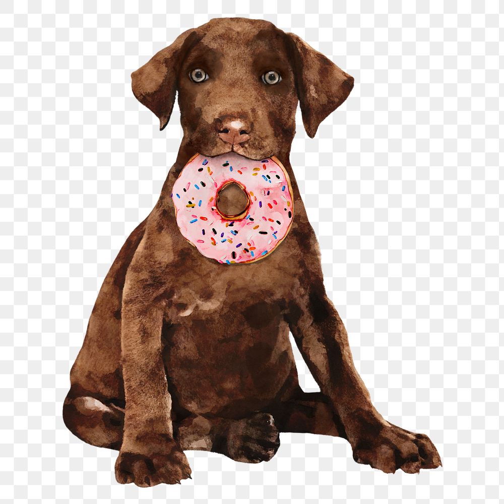Dog png sticker, Labrador Retriever illustration, transparent background