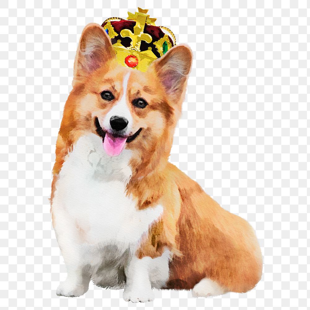 King dog png sticker, watercolor illustration, transparent background