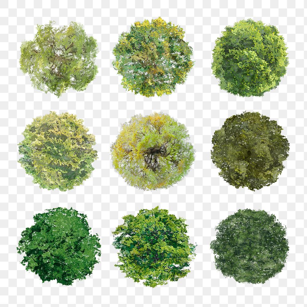 Tree png, top view spring stickers set, transparent background