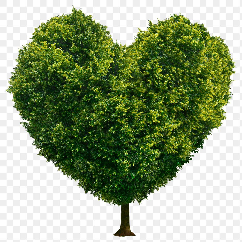 Heart shape  tree png sticker on transparent background