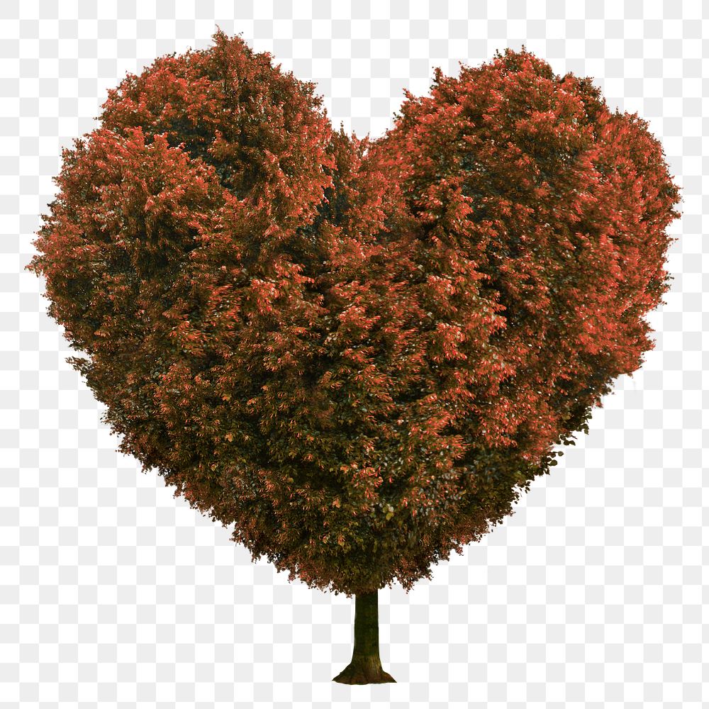 Heart shape  tree png sticker on transparent background