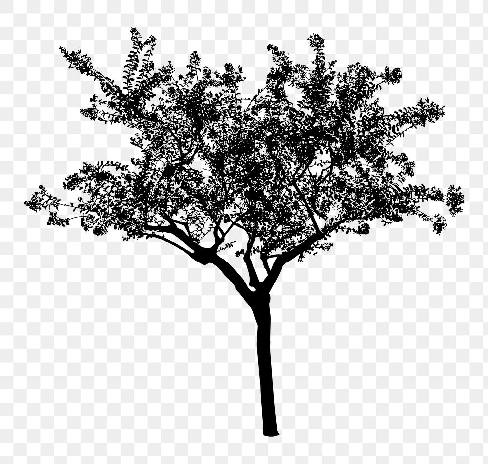 Silhouette tree png sticker on transparent background