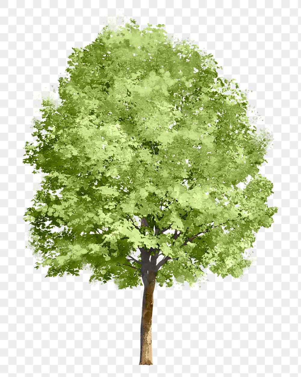 Love Tree PNG Transparent Images Free Download