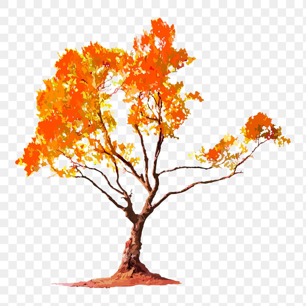 Tree png clipart, autumn watercolor illustration on transparent background