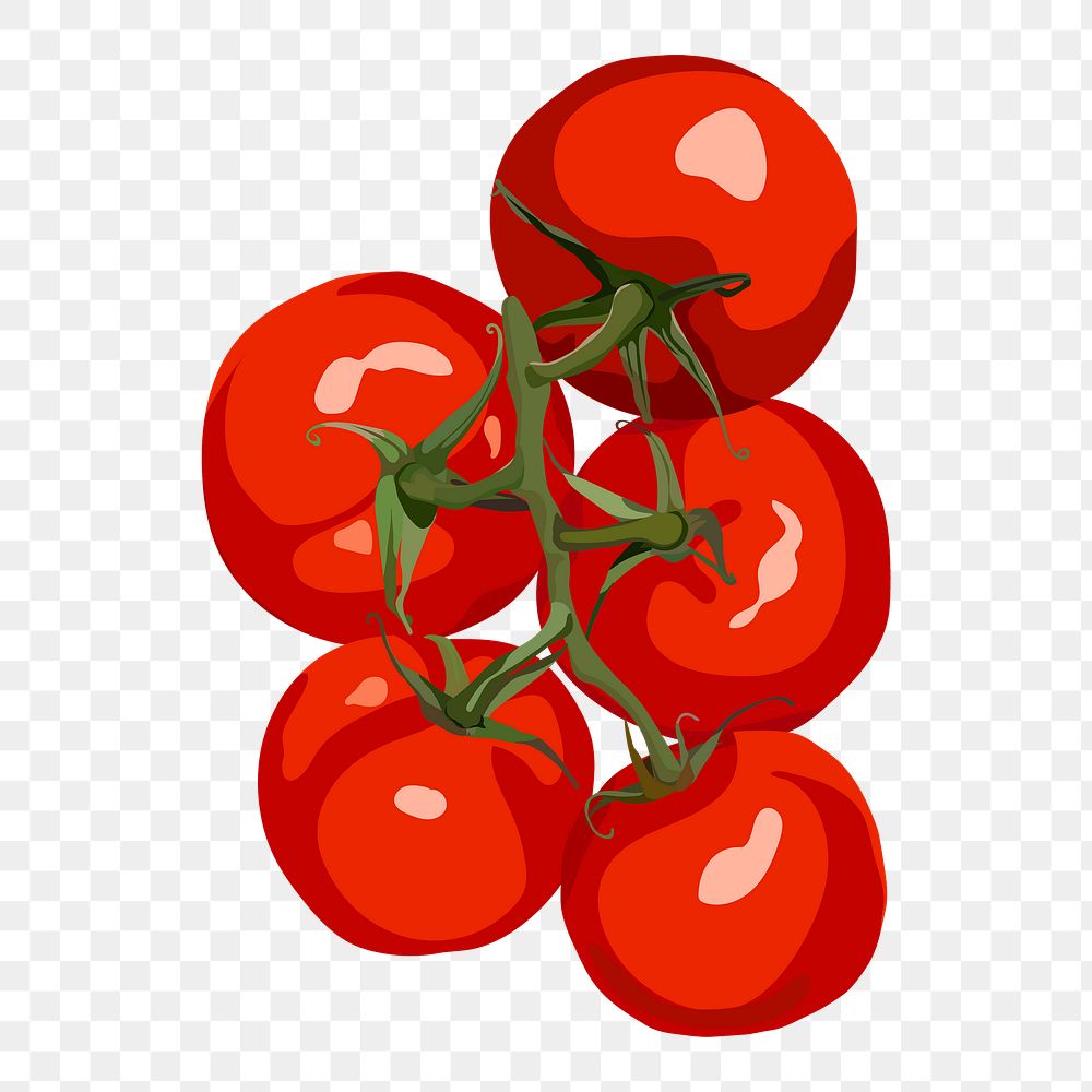 Tomatoes png sticker, vegetable illustration on transparent background